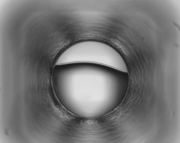 X0000095520546200712140912