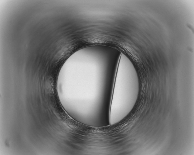 X0000095520547200712140912