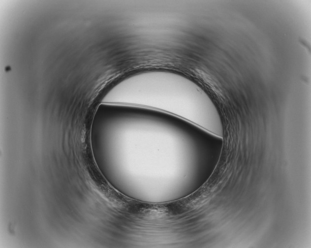 X0000095520548200712140912