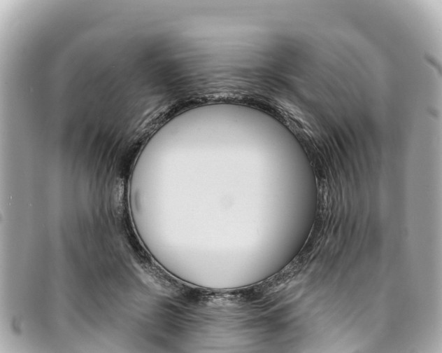 X0000095520550200712140912