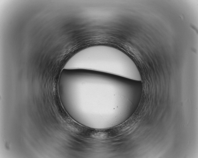 X0000095520551200712140912