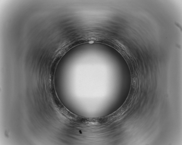 X0000095520552200712140912