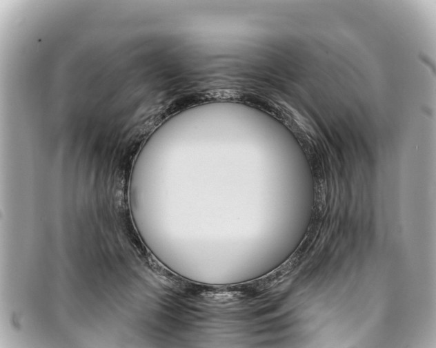 X0000095520553200712140912