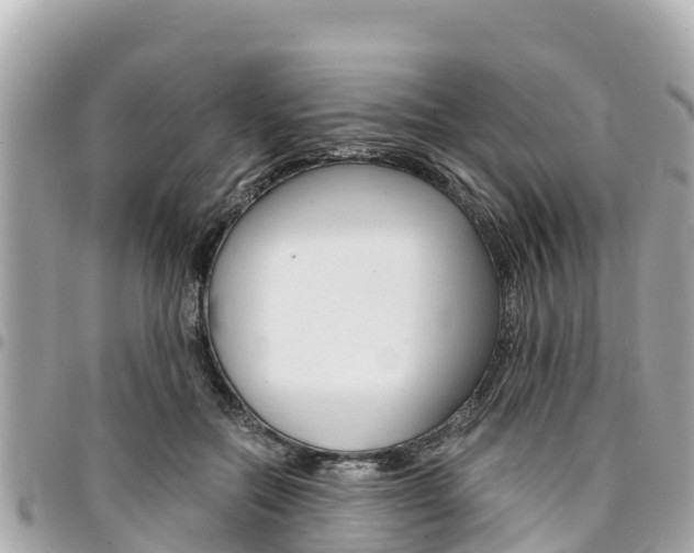 X0000095520554200712140912