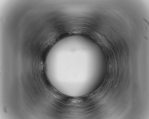 X0000095520555200712140912