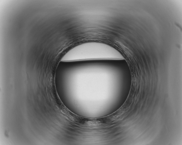 X0000095520556200712140912