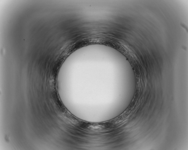 X0000095520557200712140912