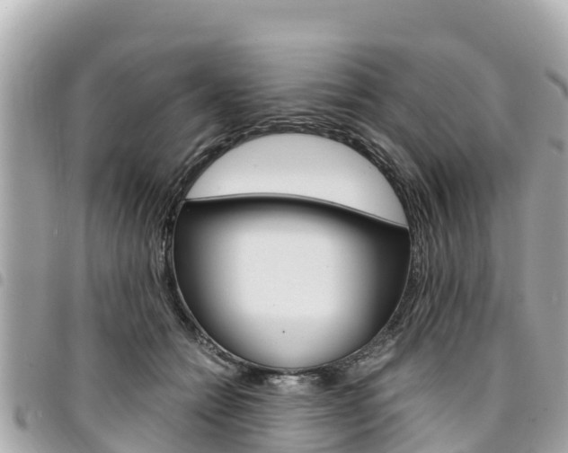 X0000095520558200712140912