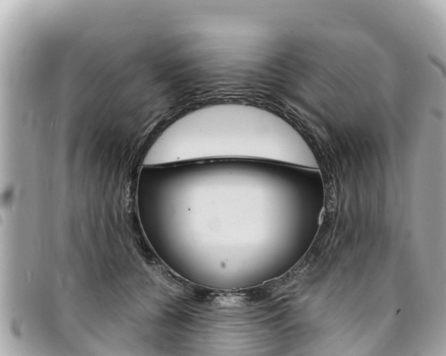 X0000095520560200712140912