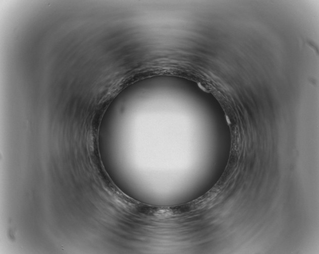 X0000095520562200712140912
