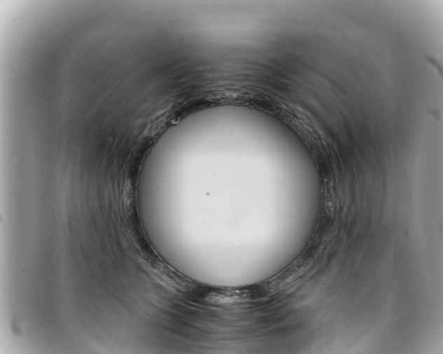 X0000095520563200712140912