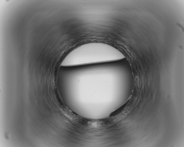 X0000095520564200712140912