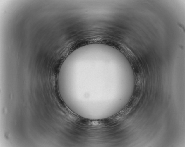 X0000095520565200712140912