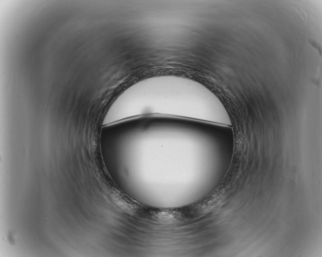 X0000095520566200712140912