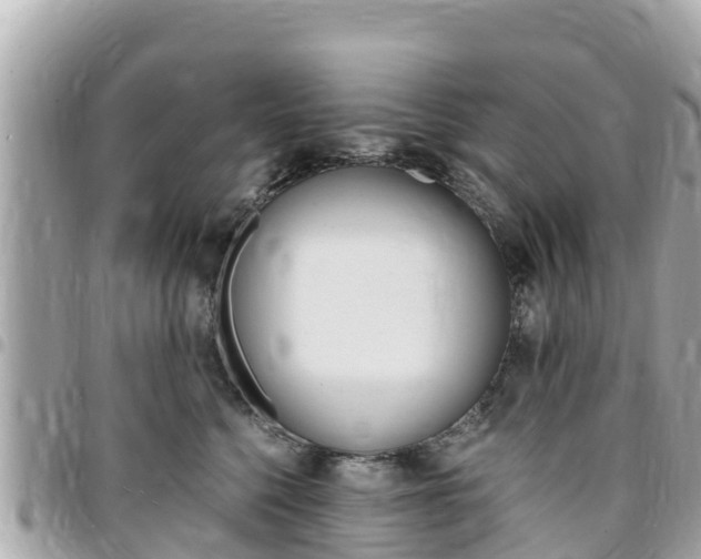 X0000095520568200712140912