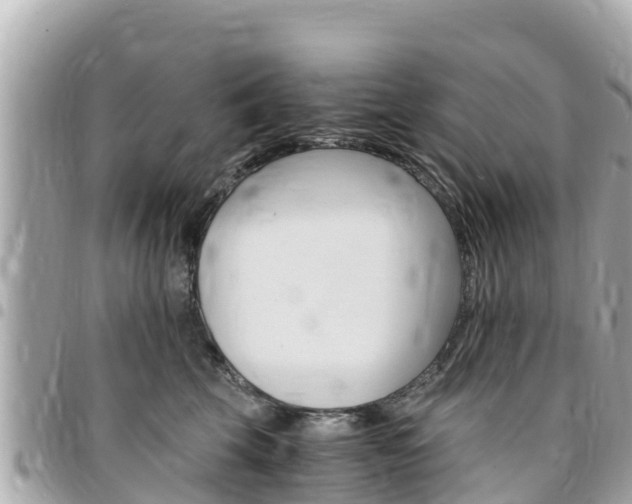 X0000095520569200712140912