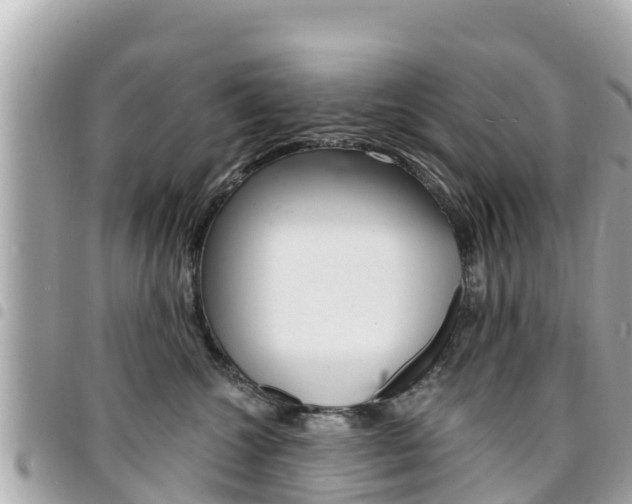 X0000095520572200712140912