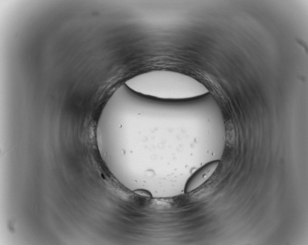 X0000095520573200712140912