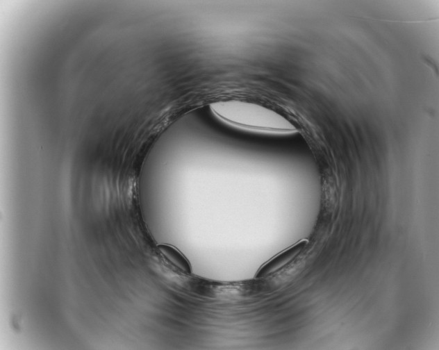 X0000095520574200712140912