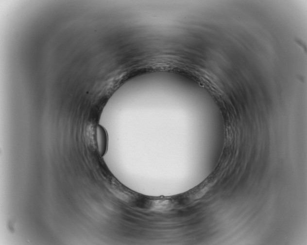 X0000095520575200712140912
