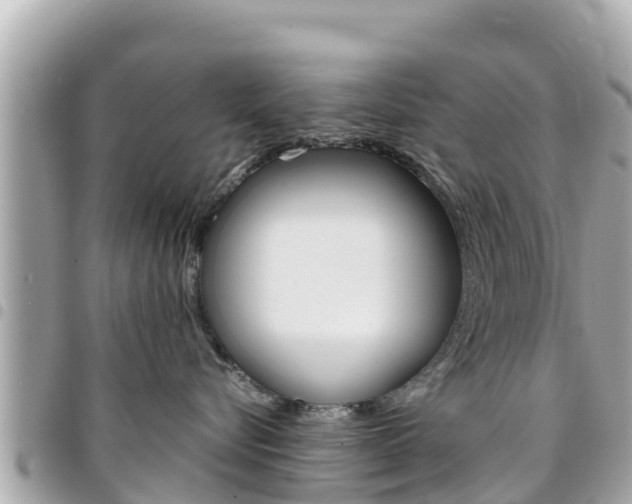 X0000095520576200712140912
