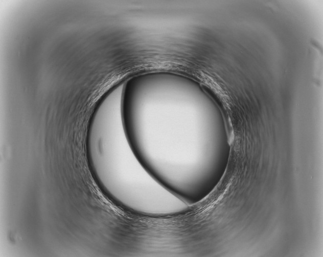 X0000095520577200712140911