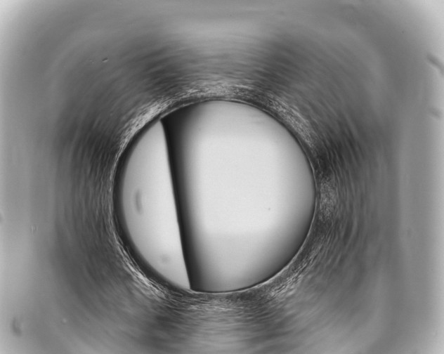 X0000095520578200712140911
