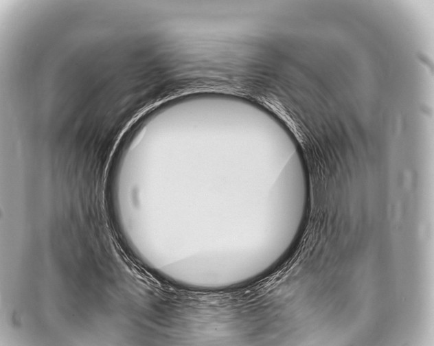 X0000095520579200712140911