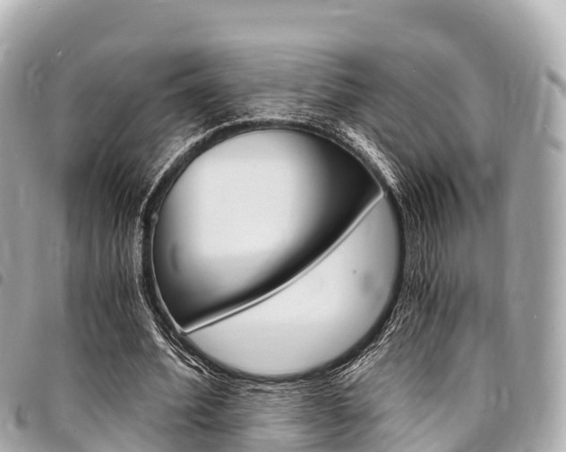 X0000095520580200712140911