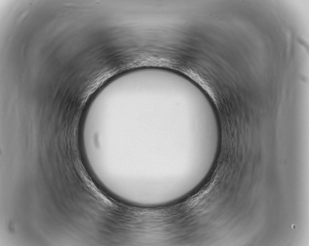 X0000095520581200712140911