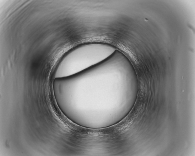 X0000095520582200712140911