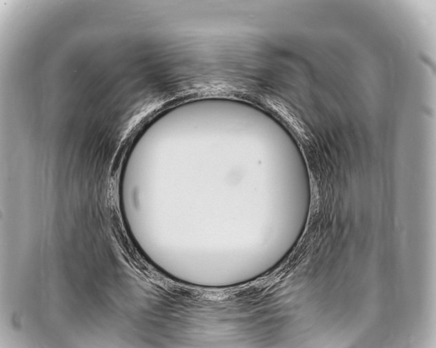X0000095520583200712140911