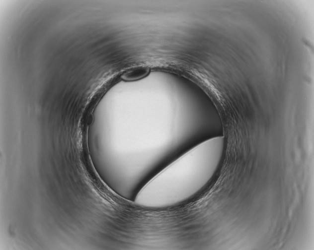 X0000095520584200712140911