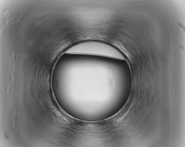 X0000095520585200712140911