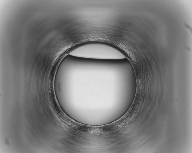 X0000095520587200712140911
