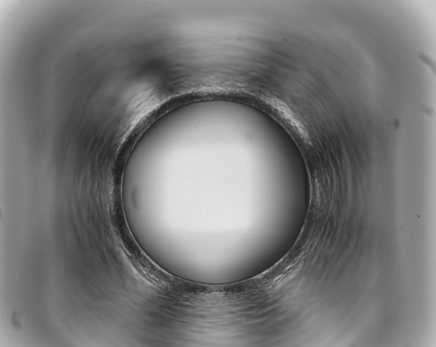 X0000095520588200712140911