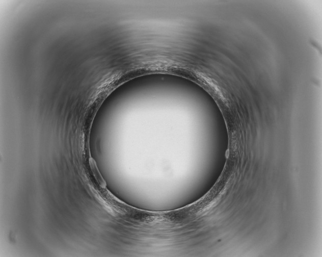 X0000095520589200712140911