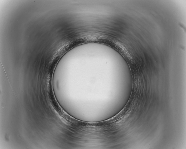 X0000095520590200712140911