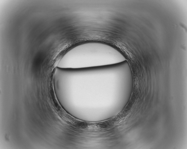 X0000095520591200712140911