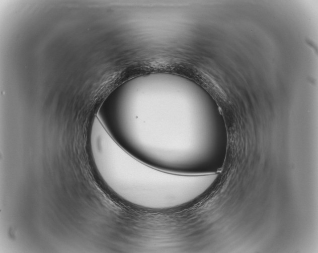 X0000095520593200712140911