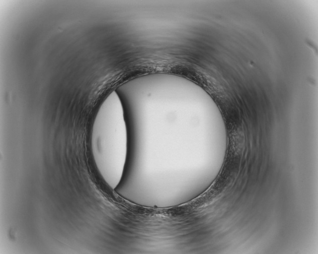 X0000095520594200712140911