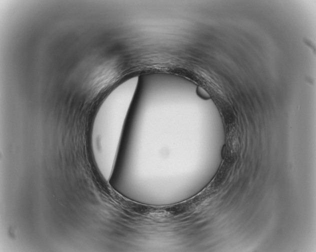 X0000095520595200712140911