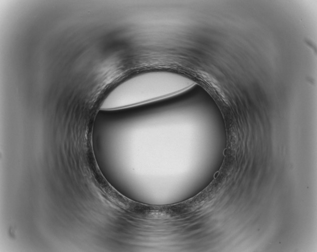X0000095520596200712140911