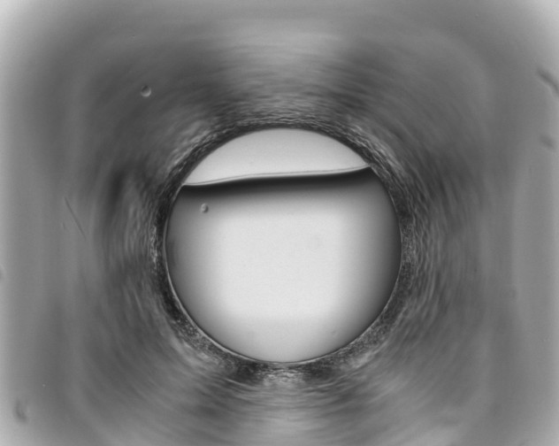 X0000095520599200712140911