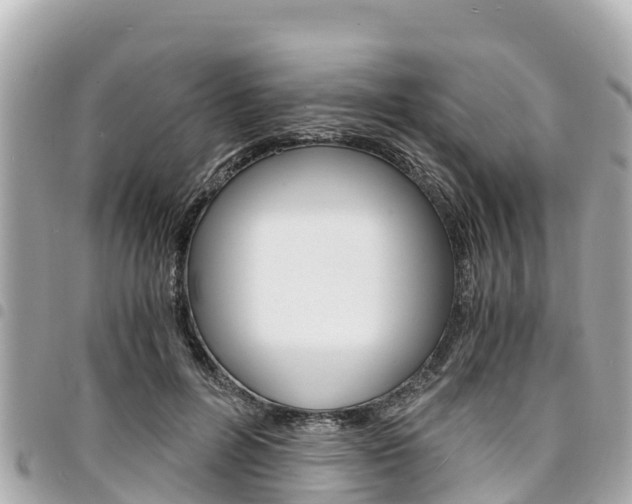 X0000095520600200712140911
