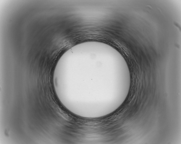 X0000095520601200712140911