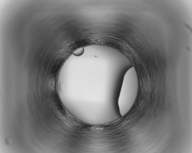 X0000095520602200712140911