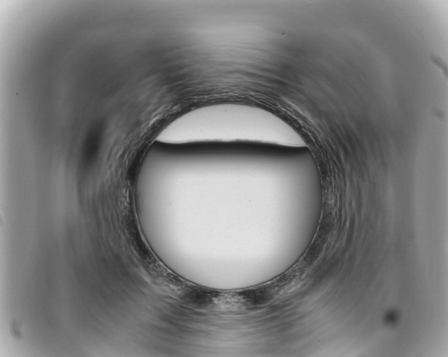 X0000095520603200712140911