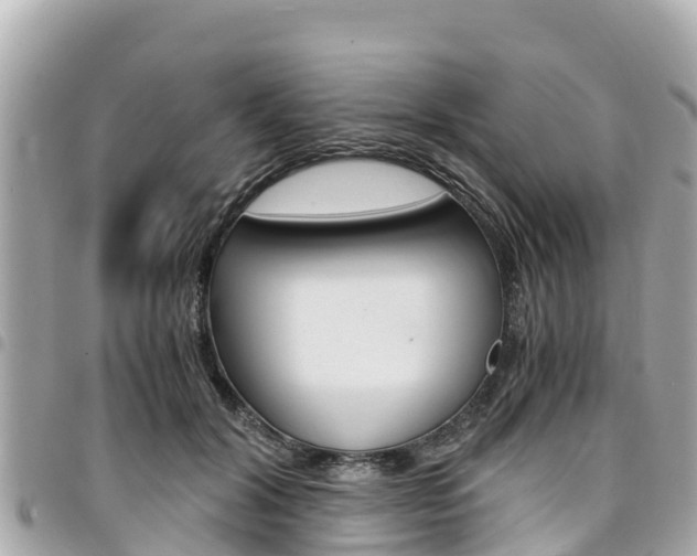 X0000095520604200712140911