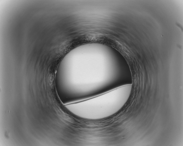 X0000095520605200712140911